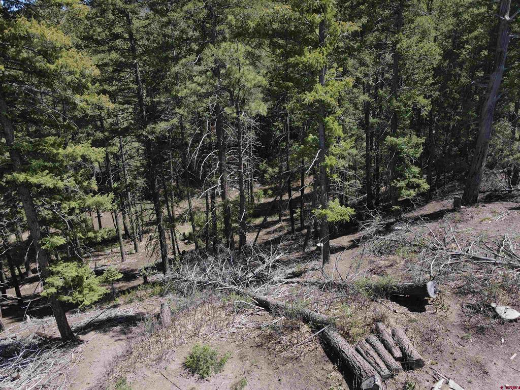 438 Loma Vista Court Pagosa Springs CO 81147