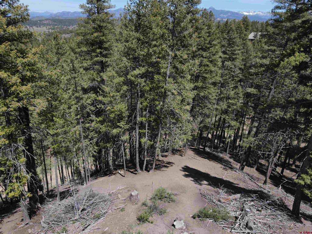 438 Loma Vista Court Pagosa Springs CO 81147