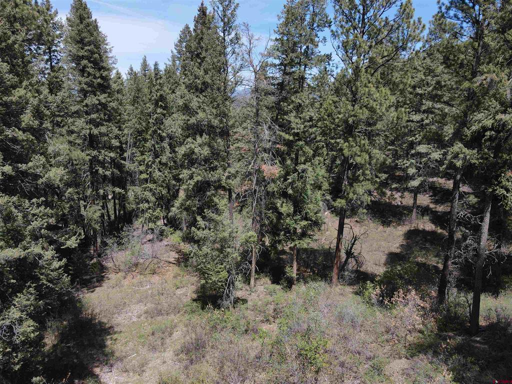438 Loma Vista Court Pagosa Springs CO 81147