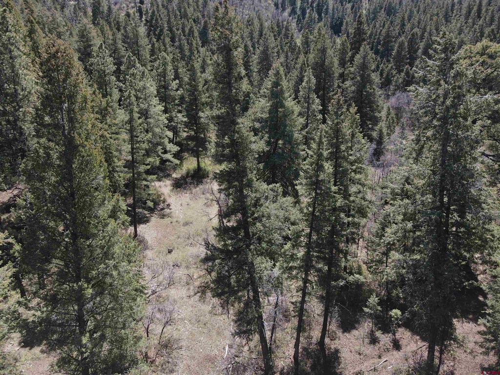 438 Loma Vista Court Pagosa Springs CO 81147