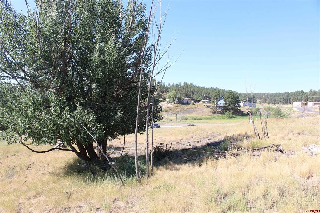 832 Rosita Street Pagosa Springs CO 81147