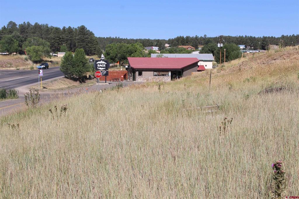 832 Rosita Street Pagosa Springs CO 81147