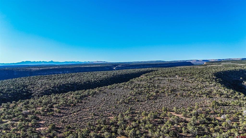 Tbd Tract 33 Beaver Hill Heights Montrose CO 81403