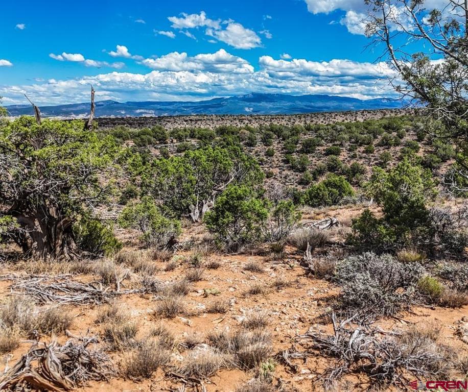 Tbd Tract 33 Beaver Hill Heights Montrose CO 81403