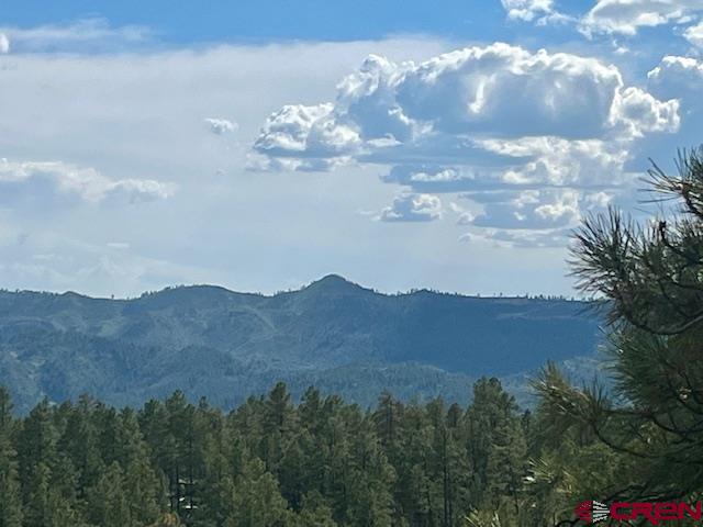 50 Shorties Court Pagosa Springs CO 81147