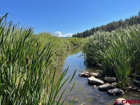 10780,50,00 Highway 160 Pagosa Springs CO 81147