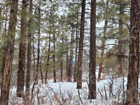 3150 Crooked Pagosa Springs CO 81147