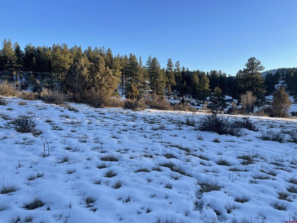 175 Stollstiemer Lane Pagosa Springs CO 81147