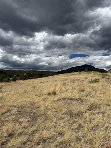 377 Milner Pass South Fork CO 81154