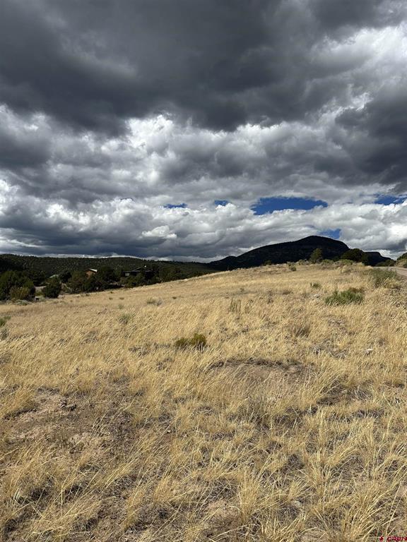 377 Milner Pass Road South Fork CO 81154