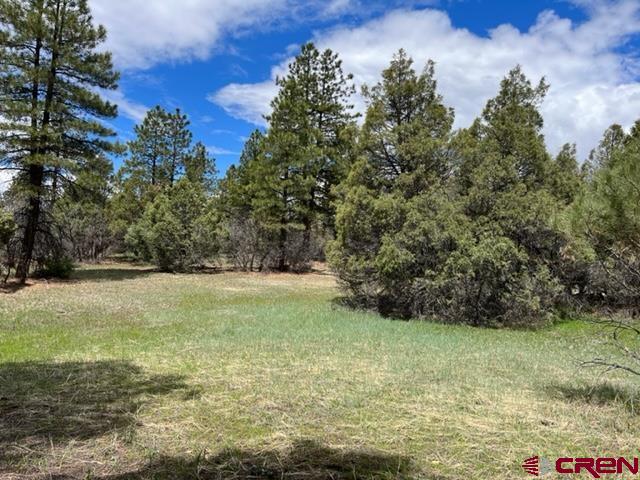 198 Allison Place Pagosa Springs CO 81147