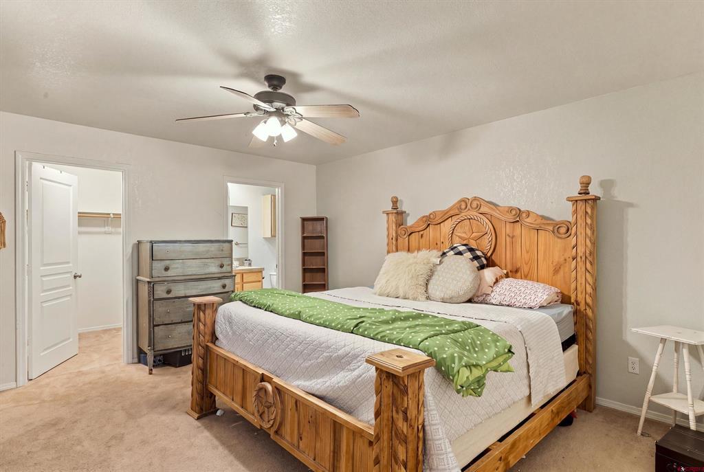 298 Park Avenue Pagosa Springs CO 81147