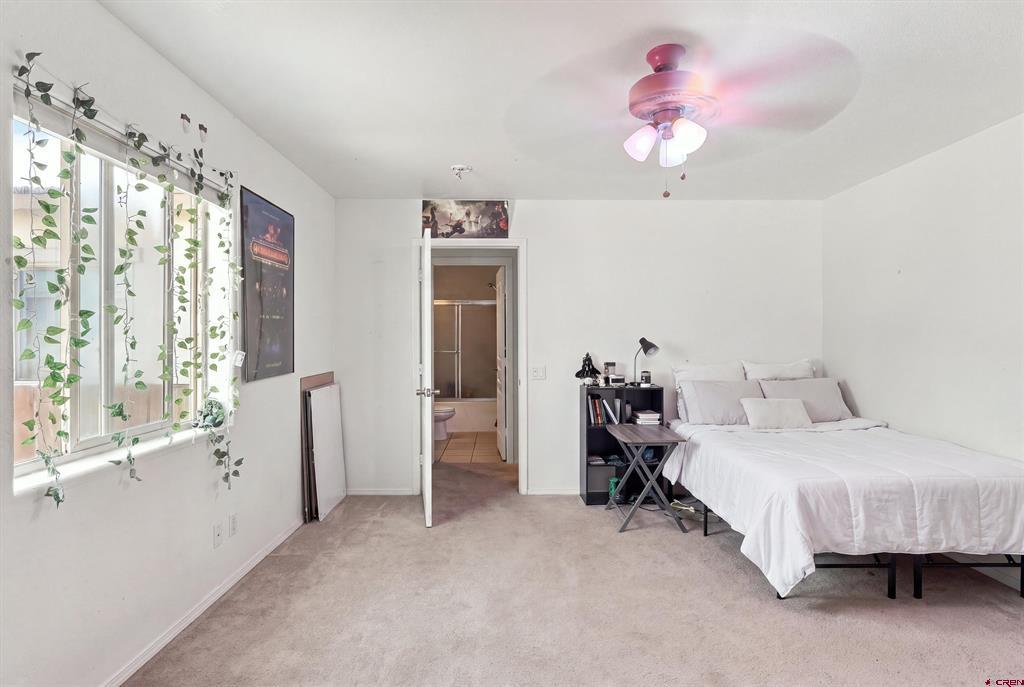 298 Park Avenue Pagosa Springs CO 81147