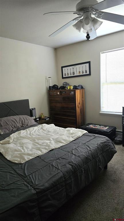 2131 Mead Lane Montrose CO 81401