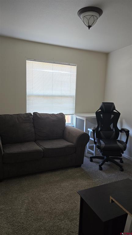 2131 Mead Lane Montrose CO 81401