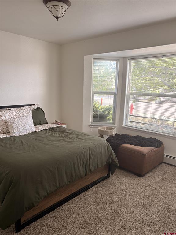 2131 Mead Lane Montrose CO 81401