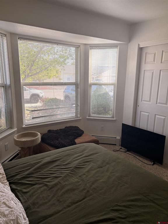 2131 Mead Lane Montrose CO 81401