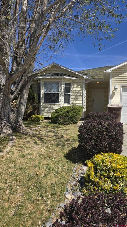 2131 Mead Lane Montrose CO 81401