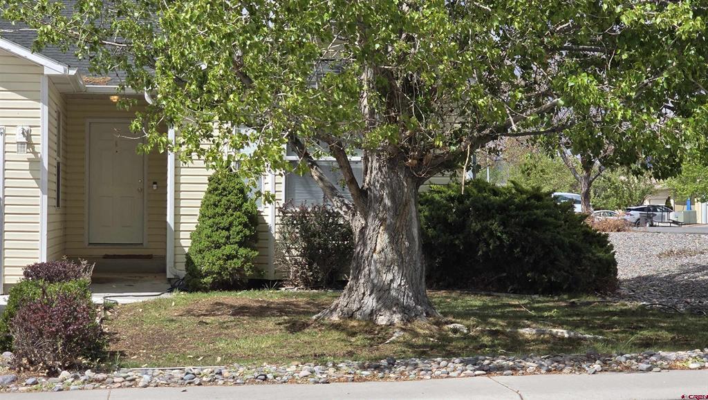2131 Mead Lane Montrose CO 81401