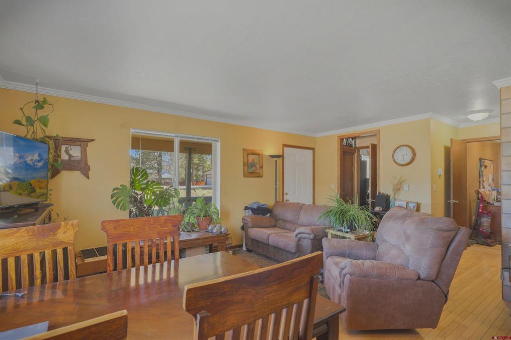 29 Monument Avenue Pagosa Springs CO 81147