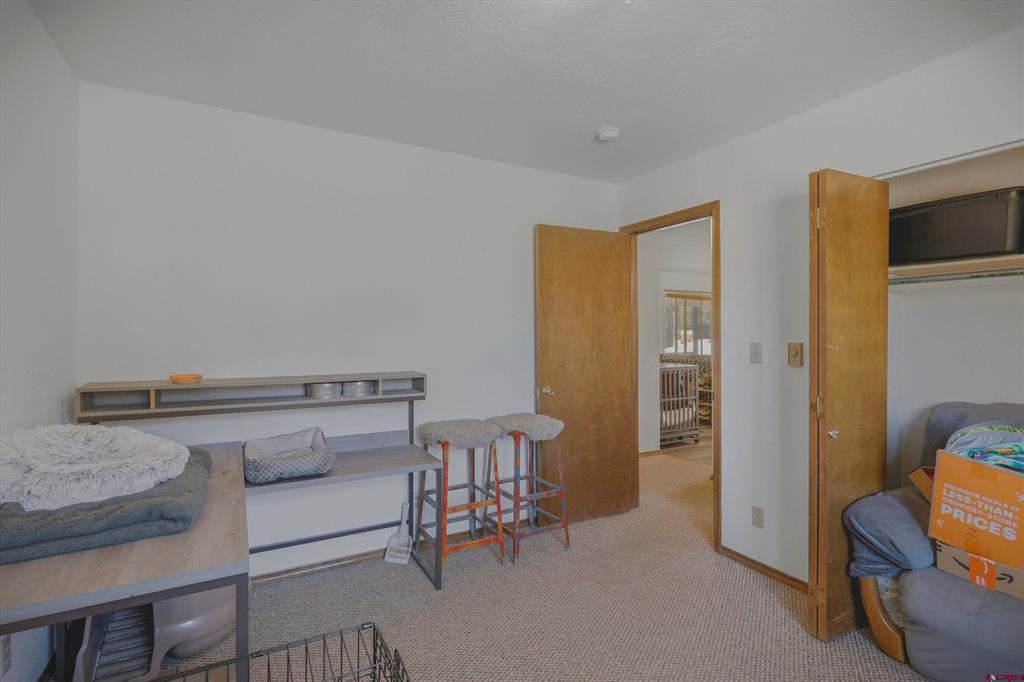 29 Monument Avenue Pagosa Springs CO 81147