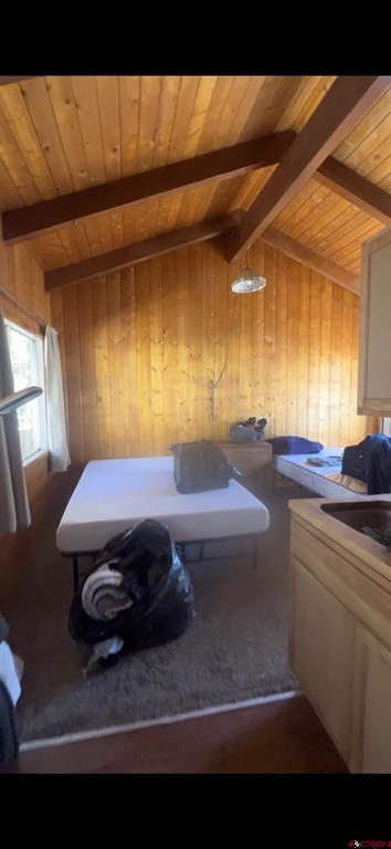15 S Sliver Street Rico CO 81332