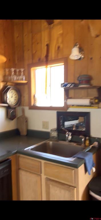 15 S Sliver Street Rico CO 81332
