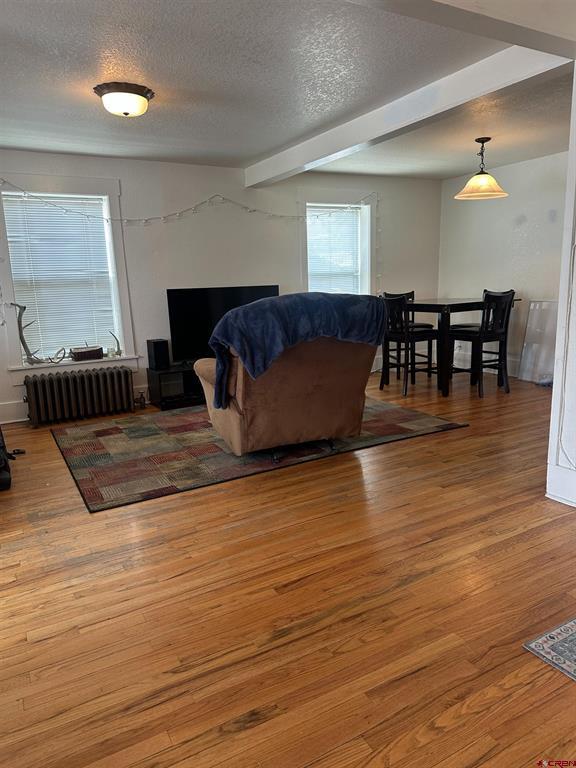 107 N Teller Street Gunnison CO 81230