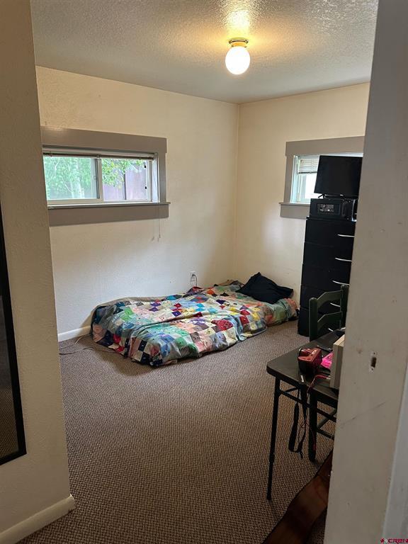 107 N Teller Street Gunnison CO 81230