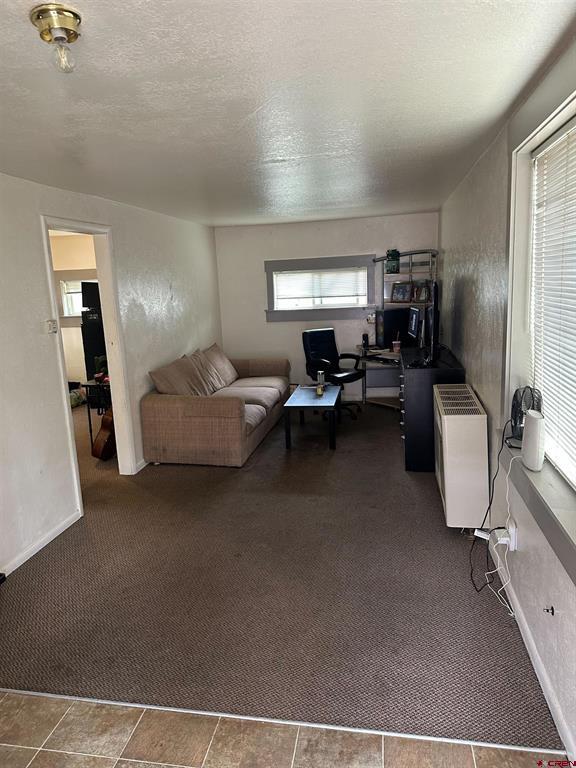 107 N Teller Street Gunnison CO 81230