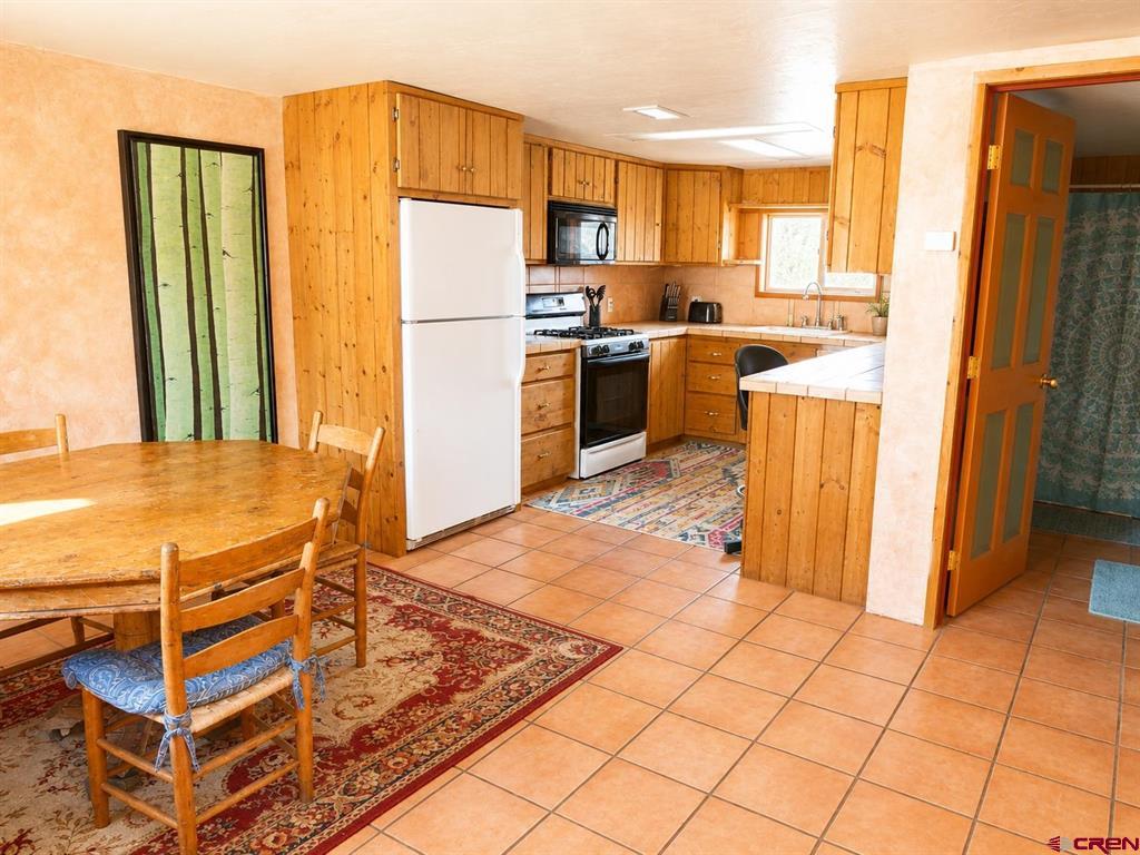 858 Reese Street Silverton CO 81433