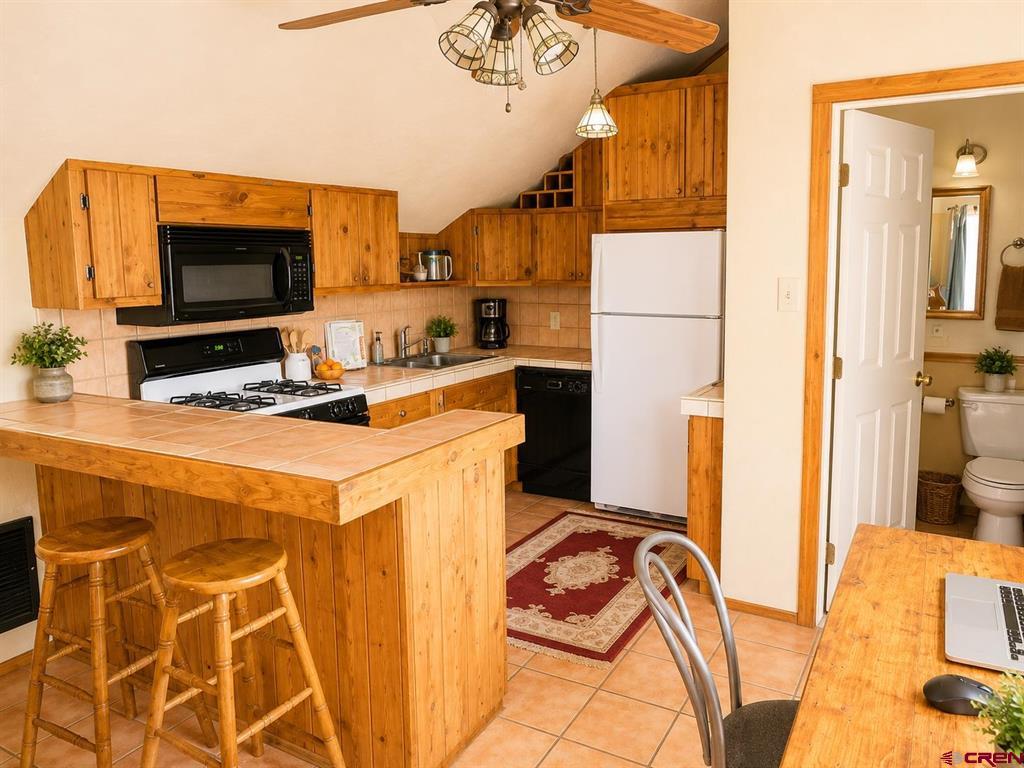858 Reese Street Silverton CO 81433