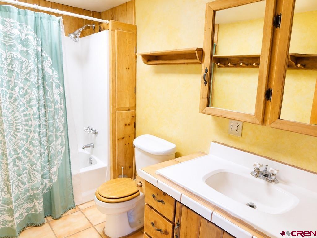 858 Reese Street Silverton CO 81433