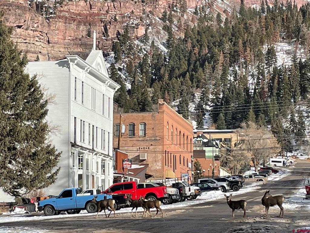 115, 117 & 119 7th Avenue Ouray CO 81427