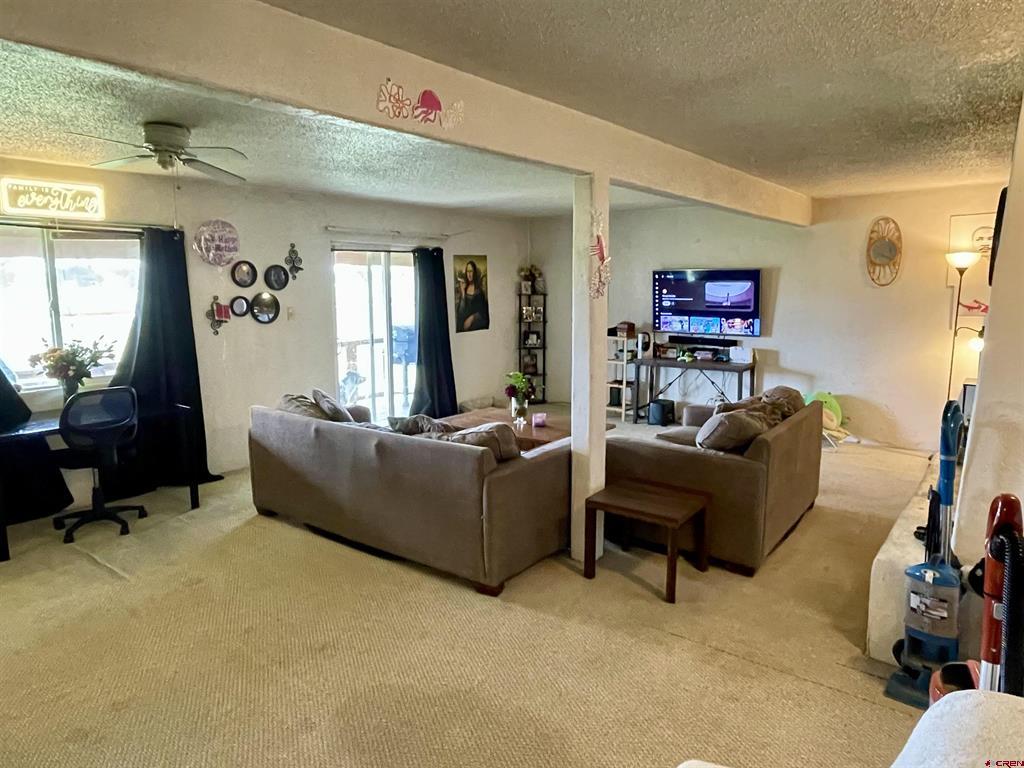 430 E Golf Place Pagosa Springs CO 81147