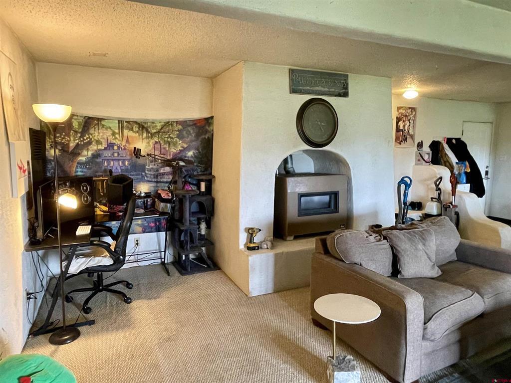 430 E Golf Place Pagosa Springs CO 81147