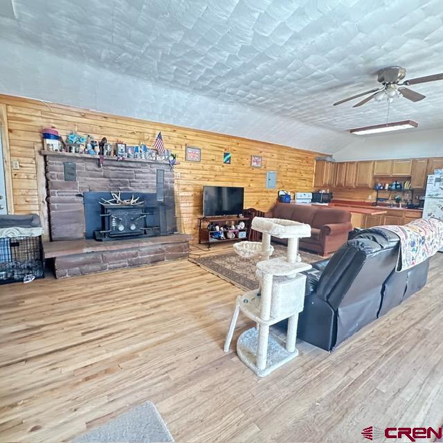 401 N Silver Street Lake City CO 81235