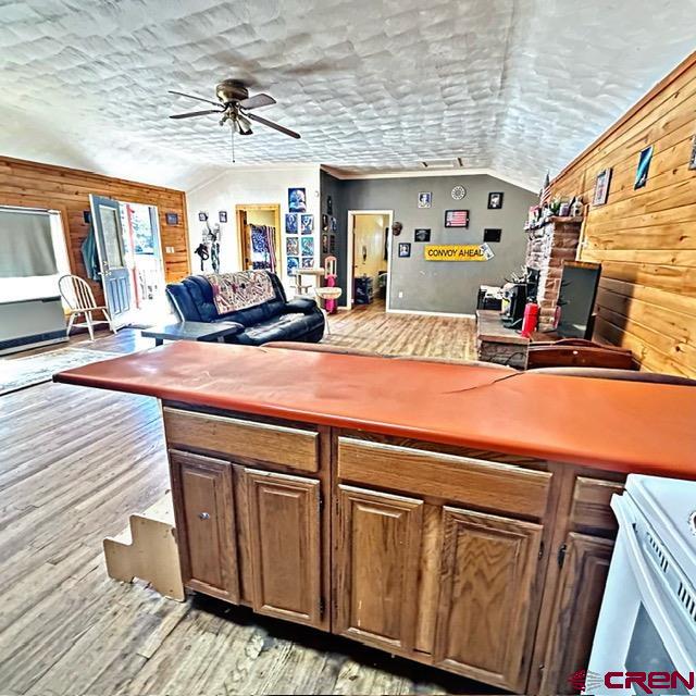 401 N Silver Street Lake City CO 81235