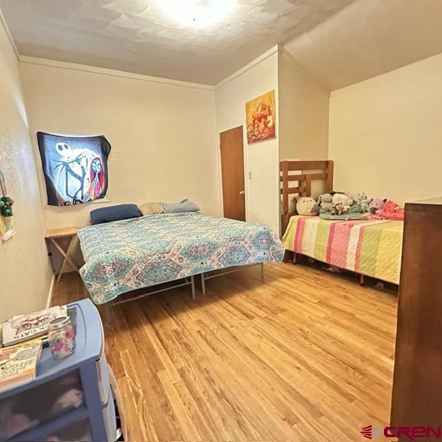 401 N Silver Street Lake City CO 81235