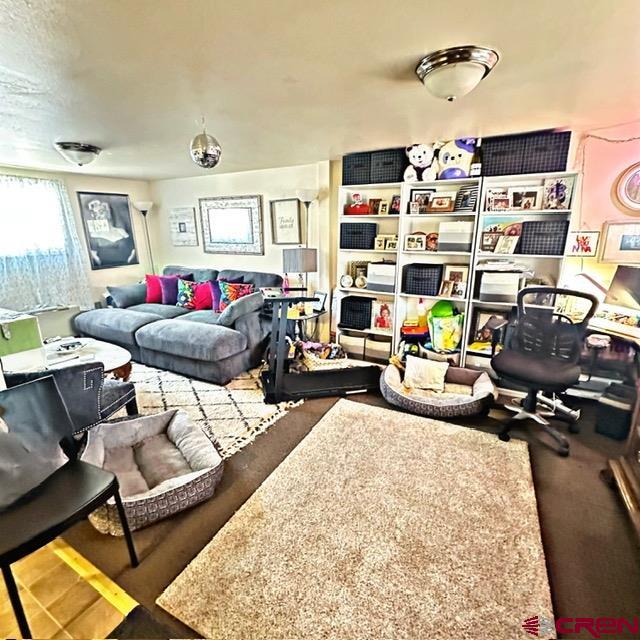 401 N Silver Street Lake City CO 81235