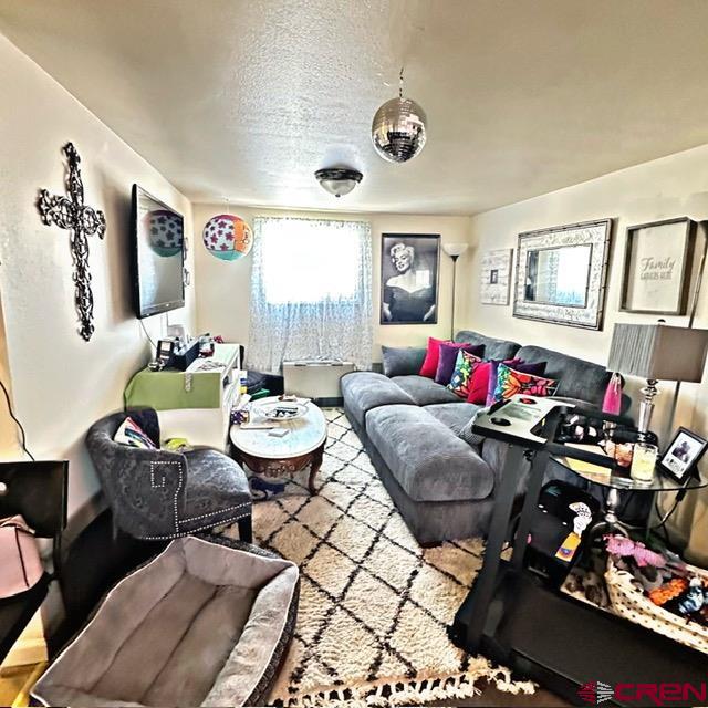 401 N Silver Street Lake City CO 81235