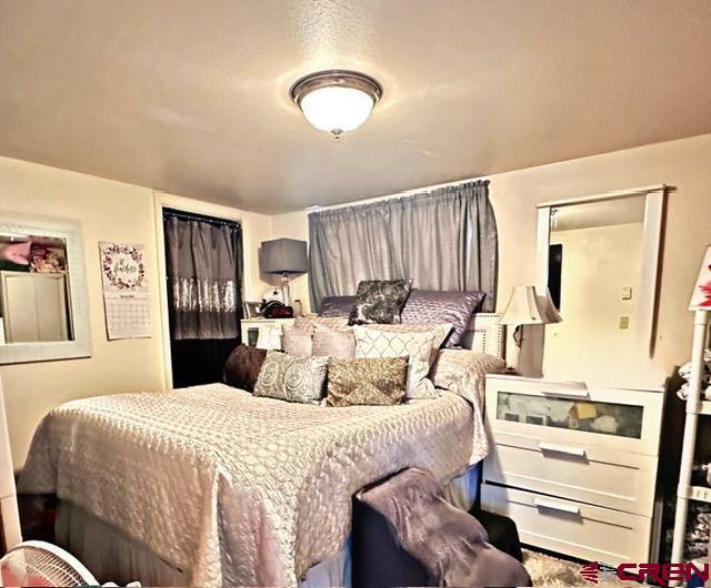 401 N Silver Street Lake City CO 81235