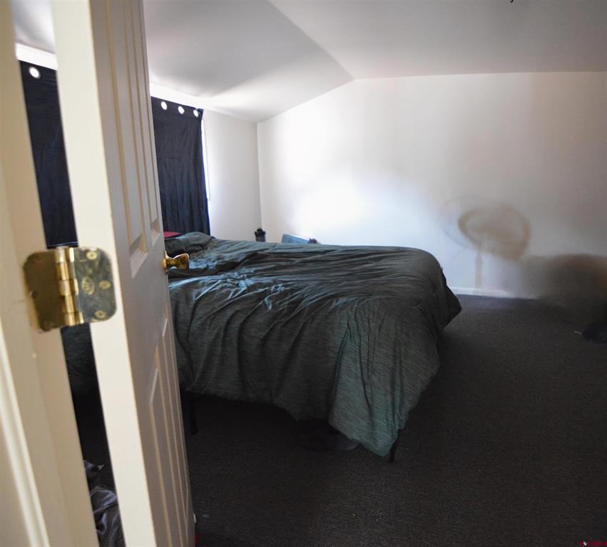 401 N Silver Street Lake City CO 81235