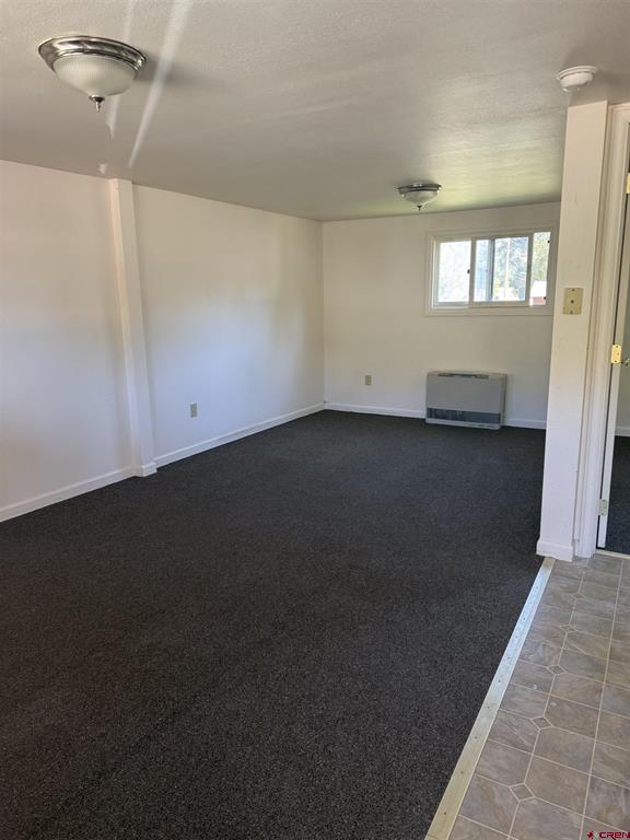 401 N Silver Street Lake City CO 81235