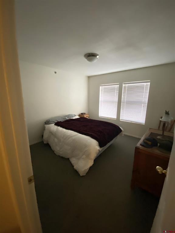 1428 Greene Street Silverton CO 81433