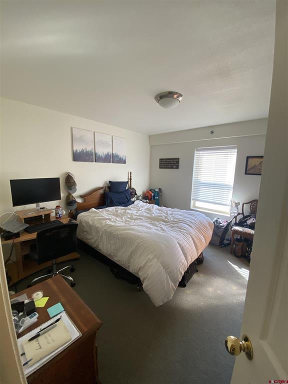 1428 Greene Street Silverton CO 81433