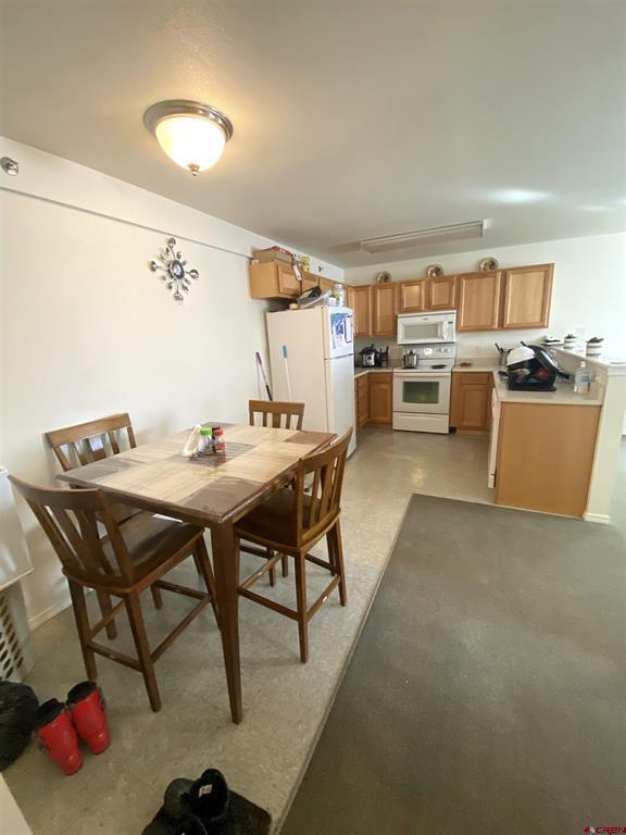 1428 Greene Street Silverton CO 81433