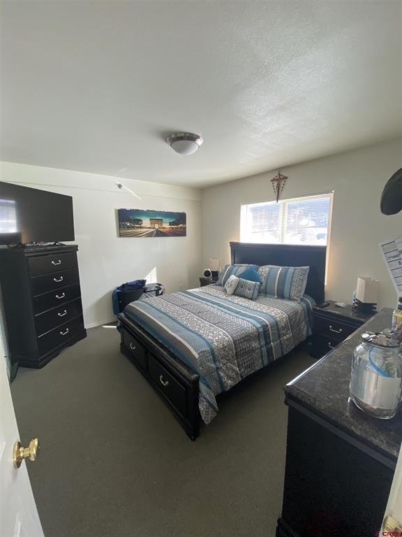 1428 Greene Street Silverton CO 81433