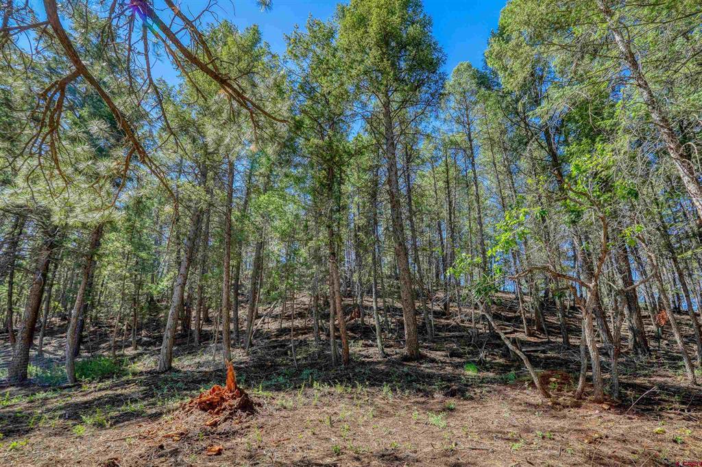 956 Beucler Lane Pagosa Springs CO 81147