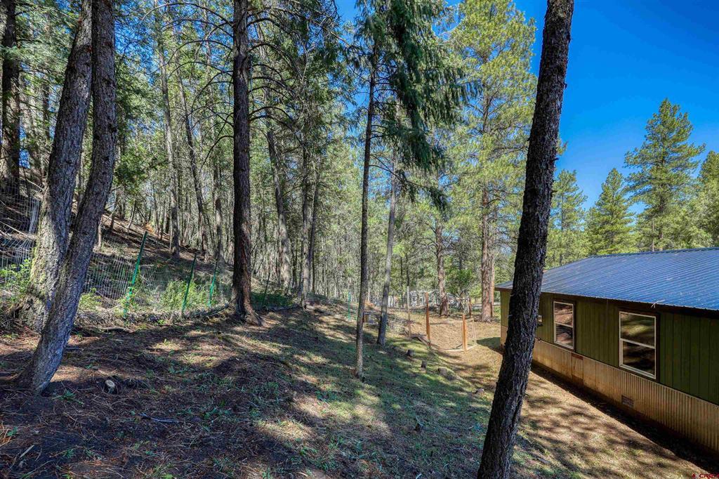 956 Beucler Lane Pagosa Springs CO 81147
